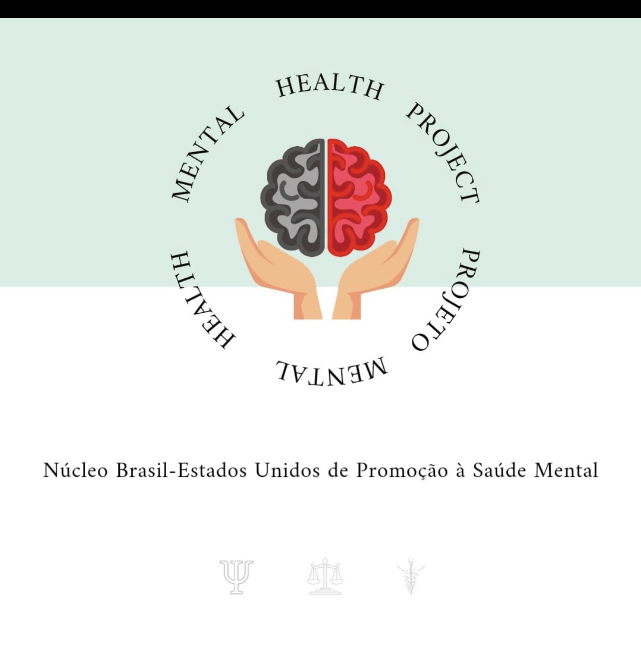 The Brazil-United States Center for the Promotion of Mental Health